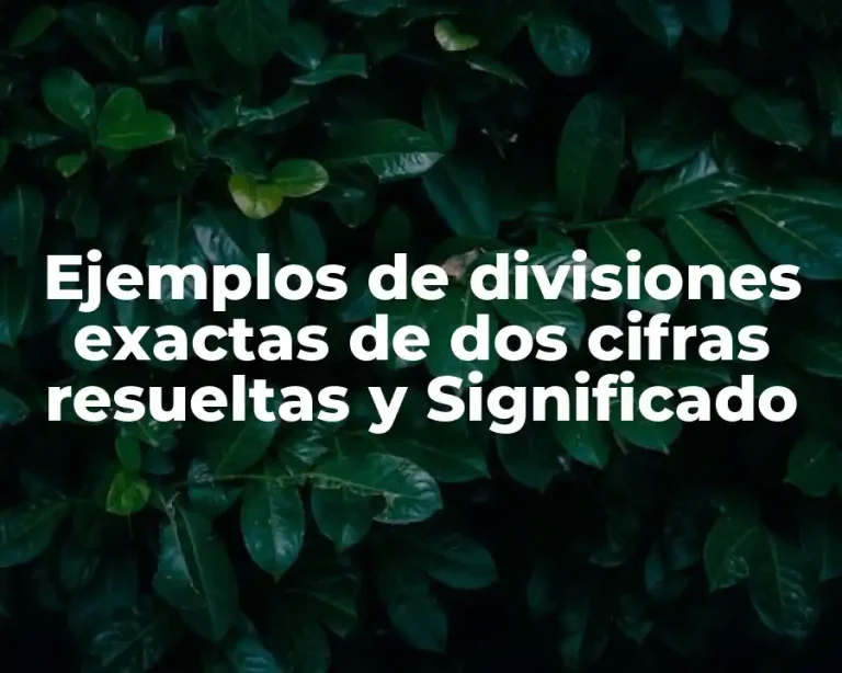 Ejemplos de divisiones exactas de dos cifras resueltas y Significado