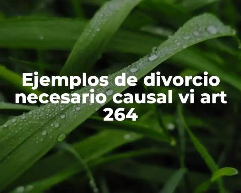 Ejemplos de divorcio necesario causal vi art 264