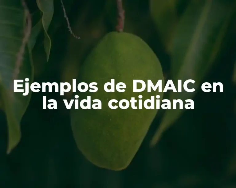 Ejemplos de DMAIC en la vida cotidiana