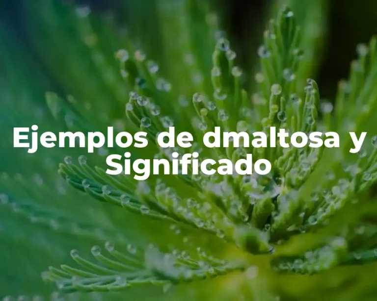 Ejemplos de dmaltosa y Significado