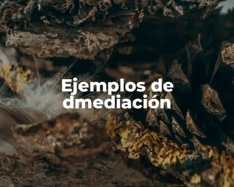 Ejemplos de dmediación