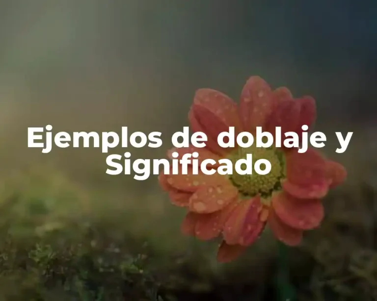 Ejemplos de doblaje y Significado