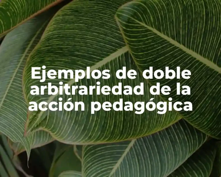 Ejemplos de doble arbitrariedad de la acción pedagógica