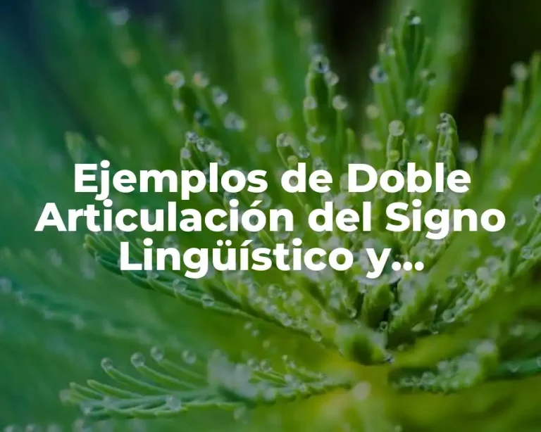 Ejemplos de Doble Articulación del Signo Lingüístico y Significado