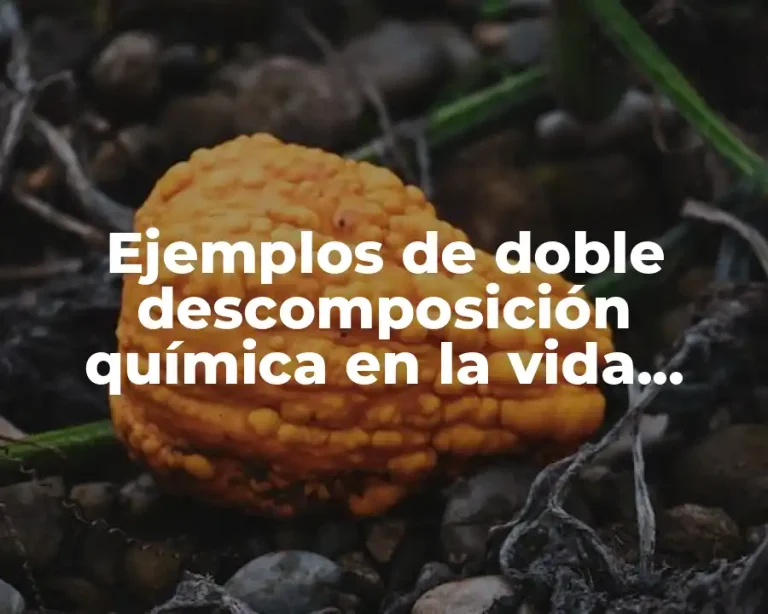 Ejemplos de doble descomposición química en la vida cotidiana y Significado