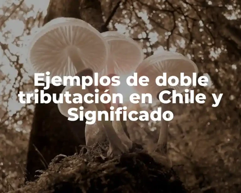 Ejemplos de doble tributación en Chile y Significado