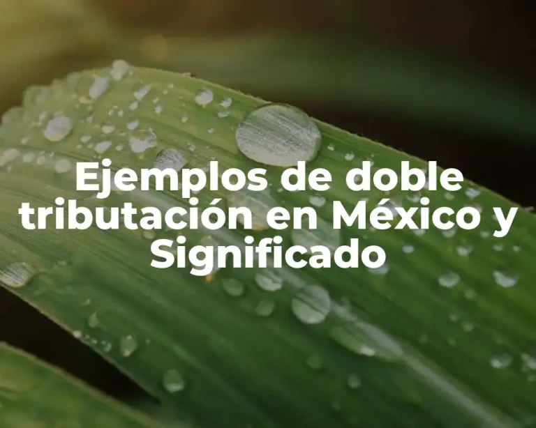 Ejemplos de doble tributación en México y Significado