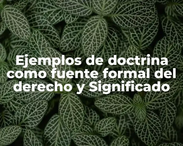 Ejemplos de doctrina como fuente formal del derecho y Significado
