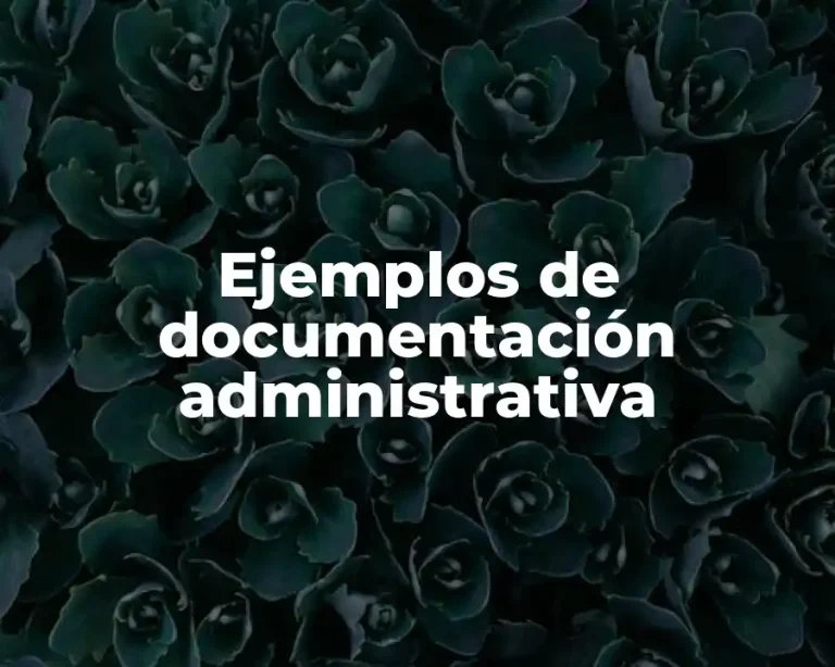 Ejemplos de documentación administrativa