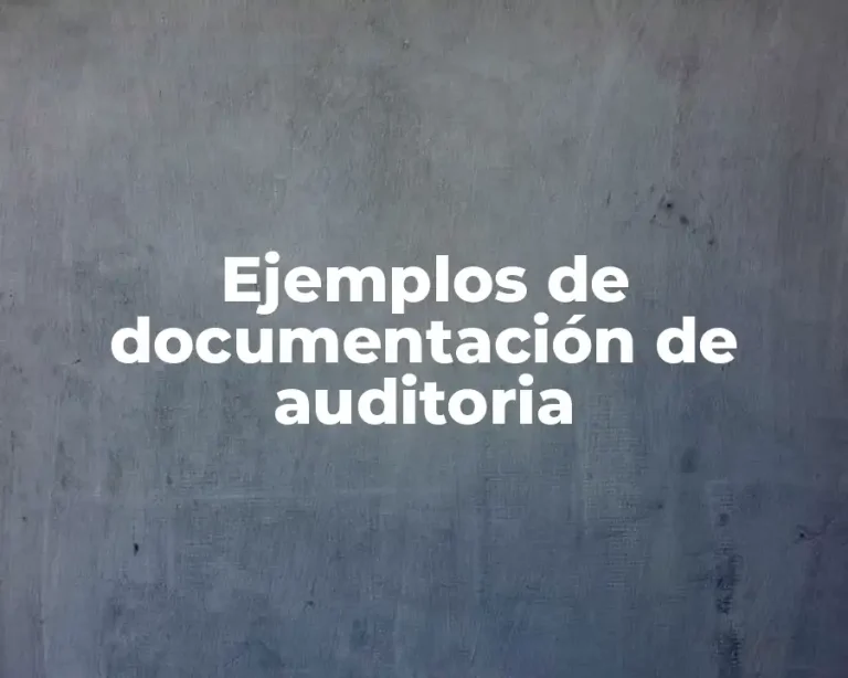 Ejemplos de documentación de auditoria
