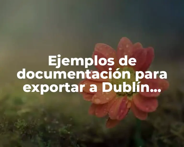 Ejemplos de documentación para exportar a Dublín, Irlanda