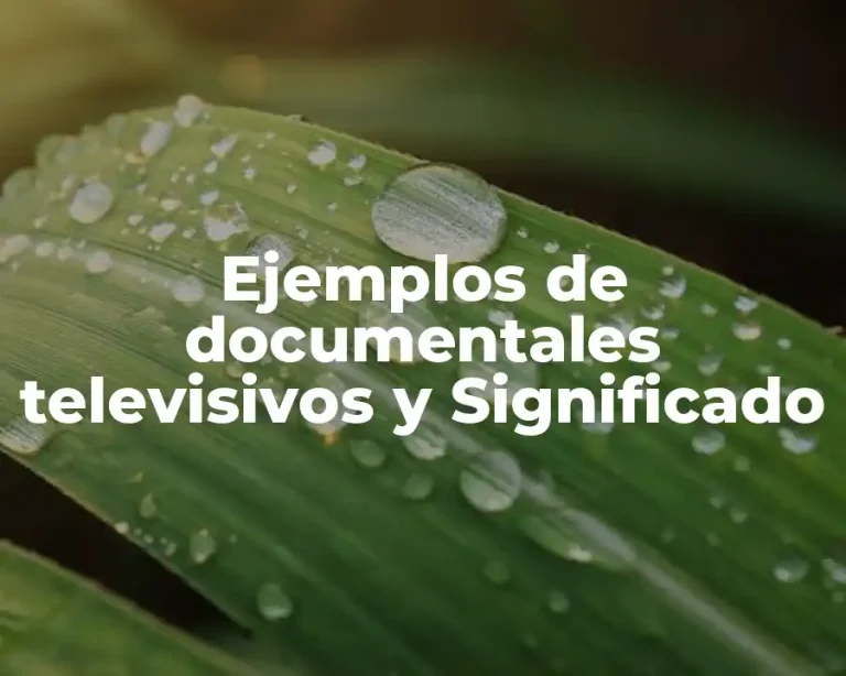 Ejemplos de documentales televisivos y Significado