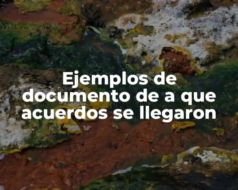 Ejemplos de documento de a que acuerdos se llegaron