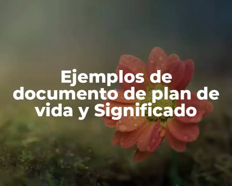 Ejemplos de documento de plan de vida y Significado