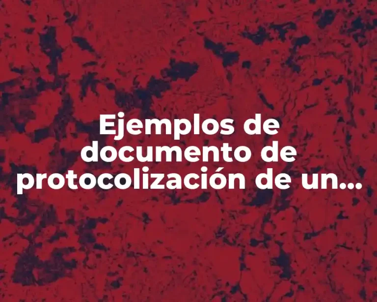 Ejemplos de documento de protocolización de un acta constitutiva