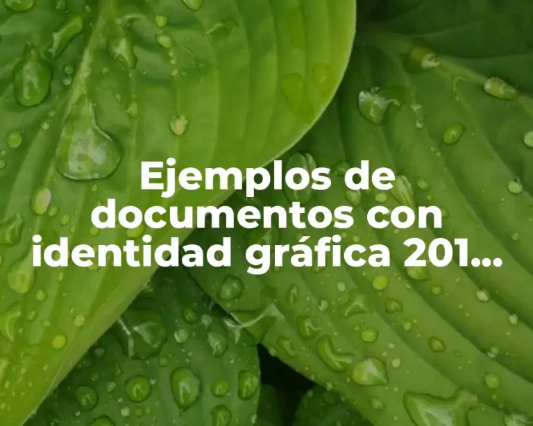Ejemplos de documentos con identidad gráfica 201 Tecnm
