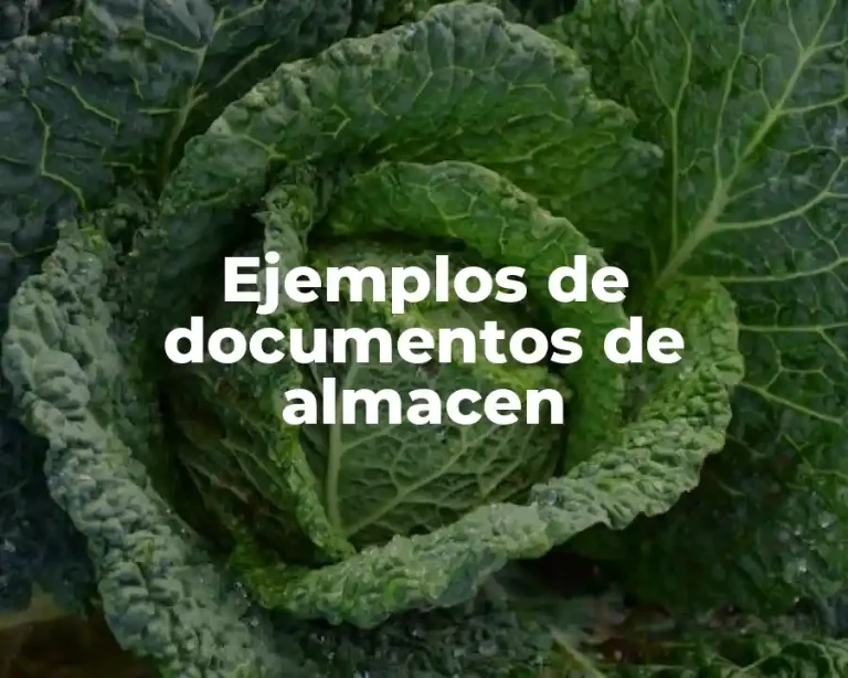 Ejemplos de documentos de almacen