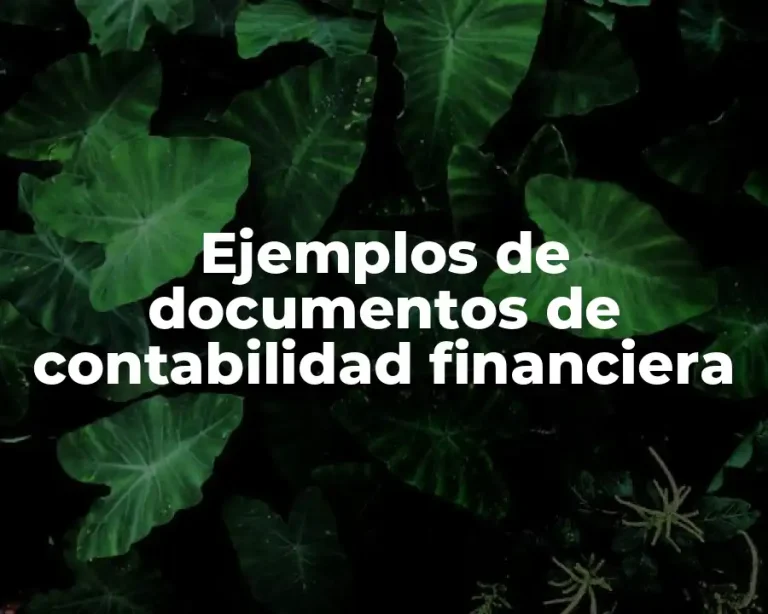 Ejemplos de documentos de contabilidad financiera