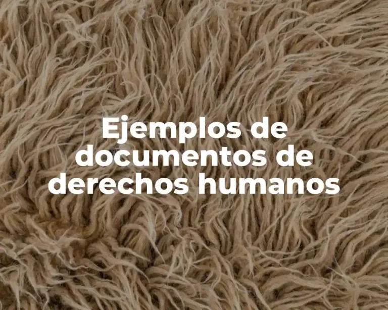 Ejemplos de documentos de derechos humanos