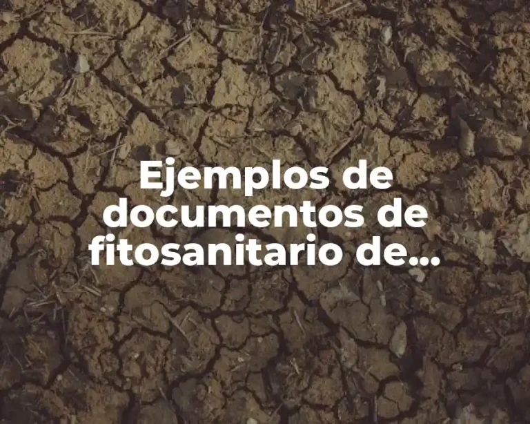 Ejemplos de documentos de fitosanitario de exportación de manzana