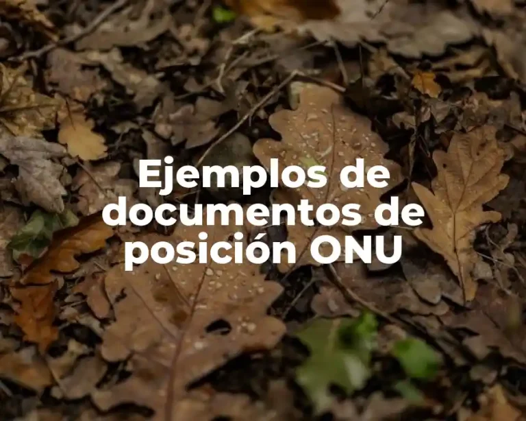 Ejemplos de documentos de posición ONU