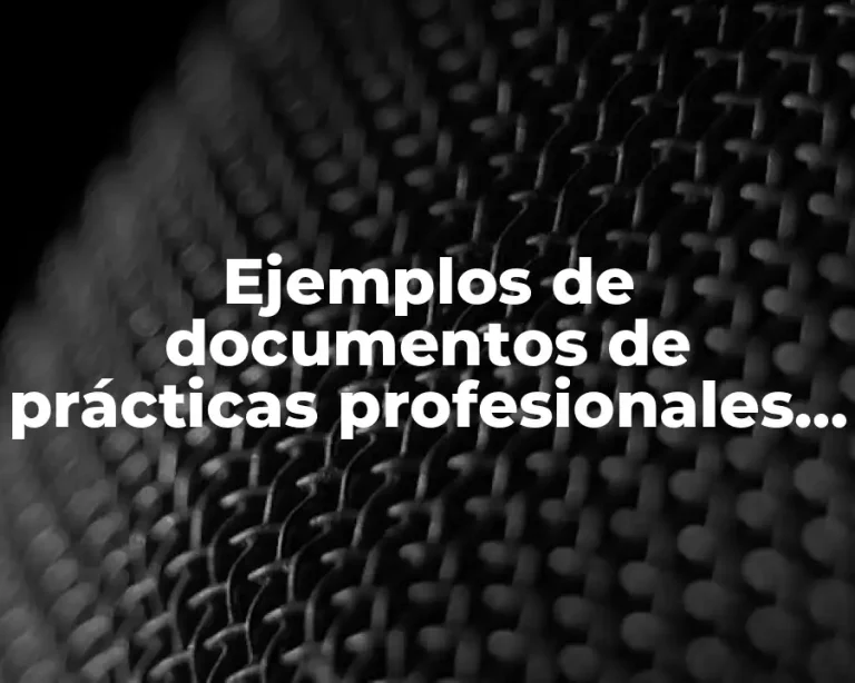 Ejemplos de documentos de prácticas profesionales de normativistas y Significado