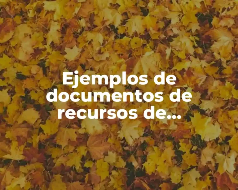 Ejemplos de documentos de recursos de equipamiento para una licitación