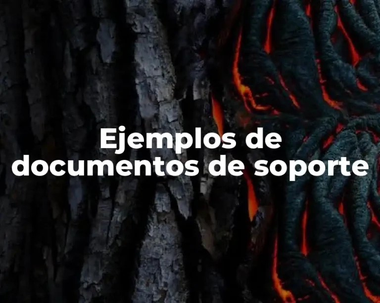 Ejemplos de documentos de soporte