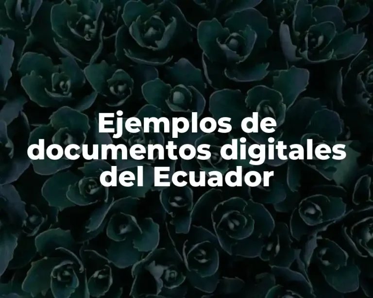 Ejemplos de documentos digitales del Ecuador
