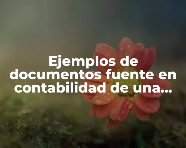 Ejemplos de documentos fuente en contabilidad de una factura