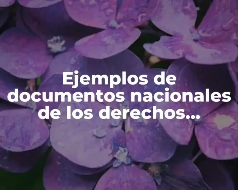 Ejemplos de documentos nacionales de los derechos humanos