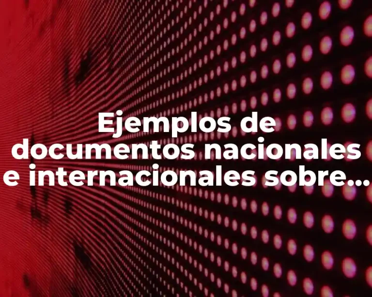 Ejemplos de documentos nacionales e internacionales sobre los derechos