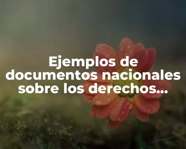 Ejemplos de documentos nacionales sobre los derechos humanos y Significado