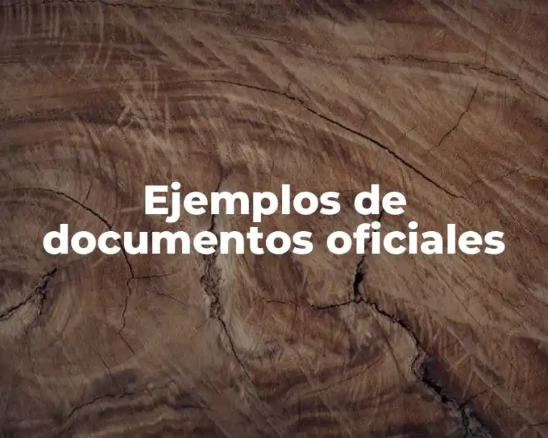 Ejemplos de documentos oficiales