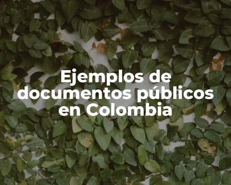 Ejemplos de documentos públicos en Colombia