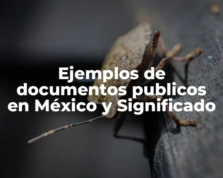 Ejemplos de documentos publicos en México y Significado