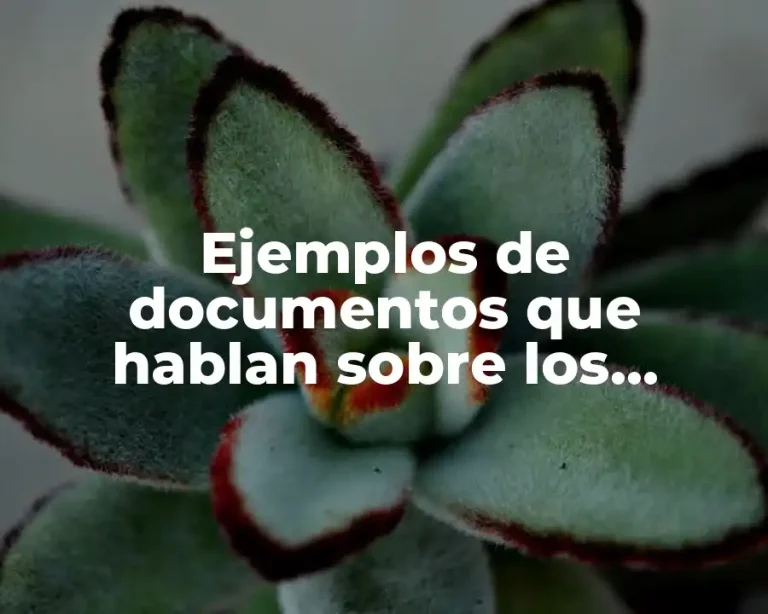 Ejemplos de documentos que hablan sobre los derechos humanos