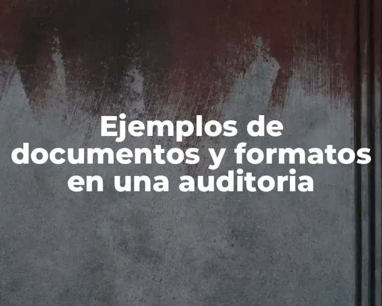 Ejemplos de documentos y formatos en una auditoria