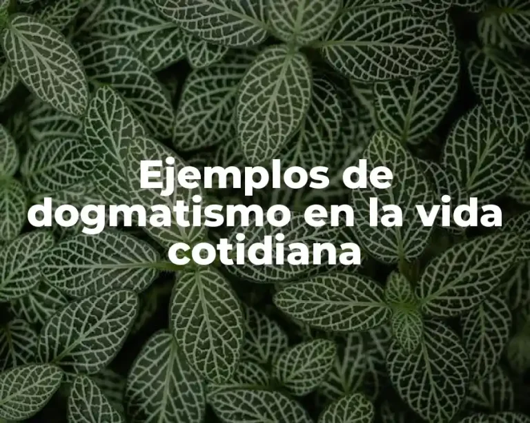 Ejemplos de dogmatismo en la vida cotidiana