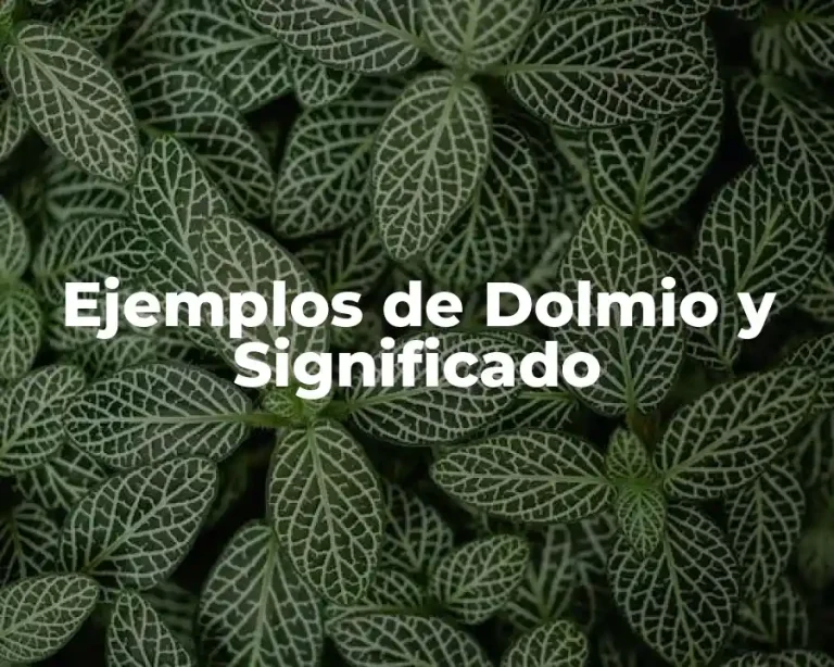 Ejemplos de Dolmio y Significado