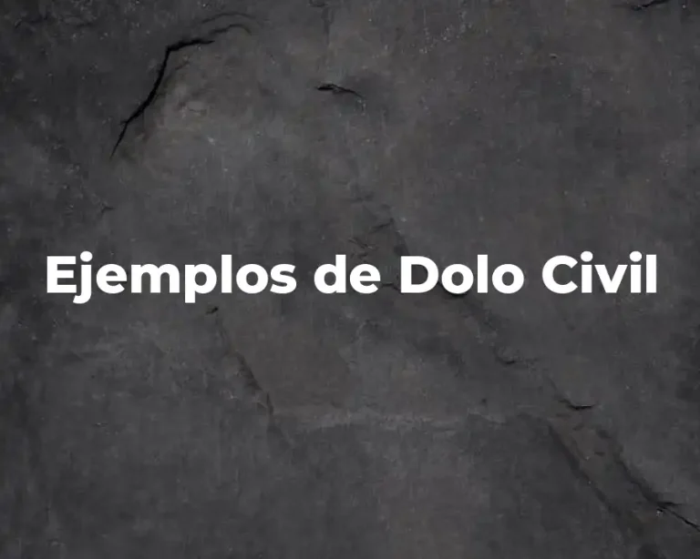 Ejemplos de Dolo Civil