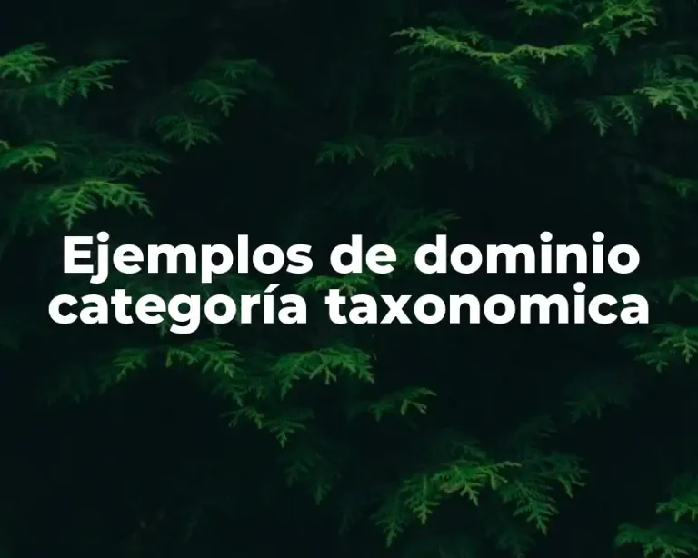 Ejemplos de dominio categoría taxonomica