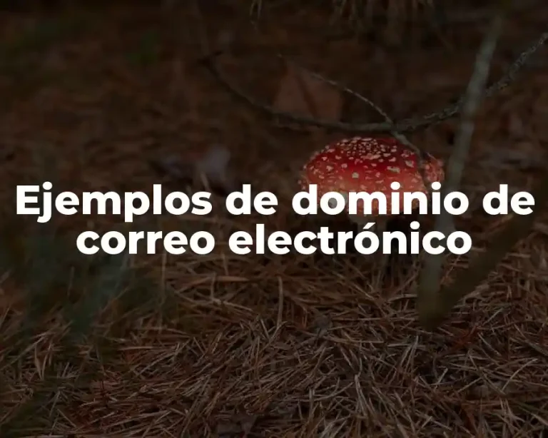 Ejemplos de dominio de correo electrónico