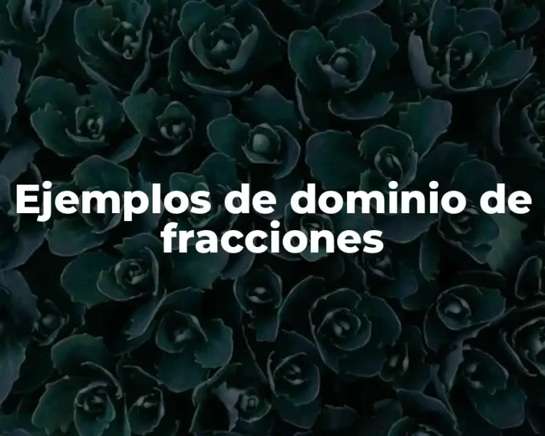 Ejemplos de dominio de fracciones
