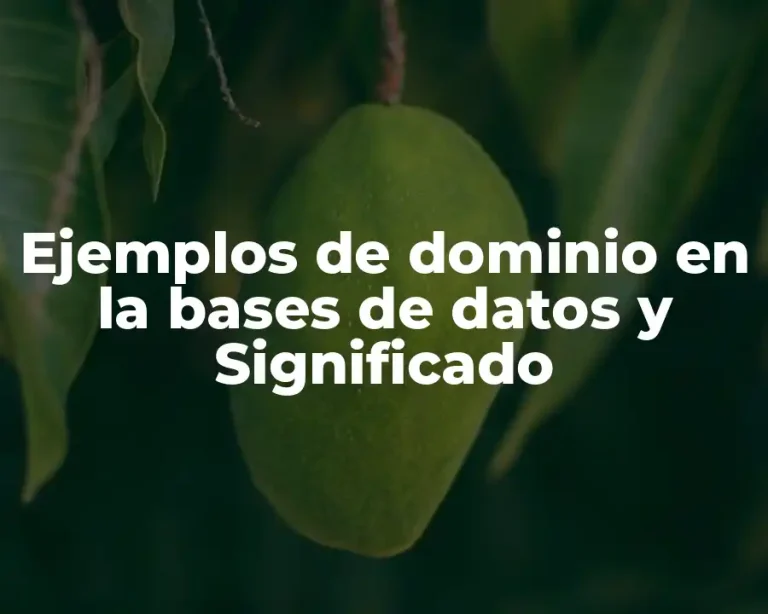 Ejemplos de dominio en la bases de datos y Significado