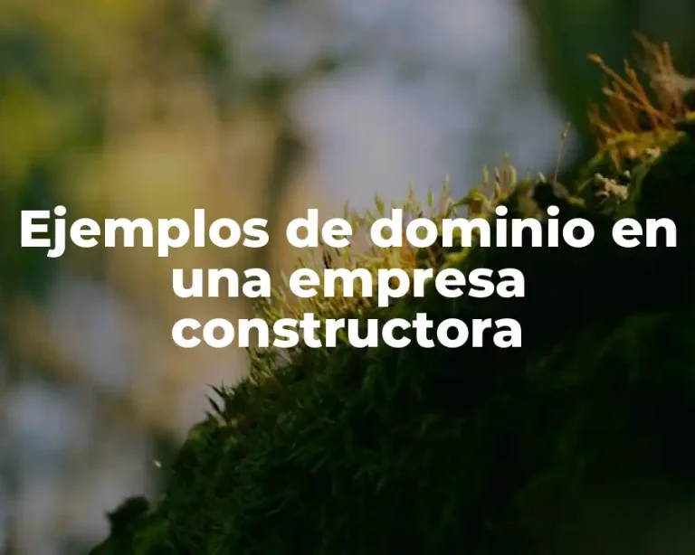 Ejemplos de dominio en una empresa constructora