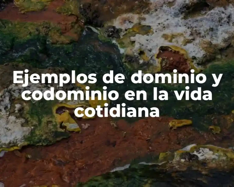 Ejemplos de dominio y codominio en la vida cotidiana