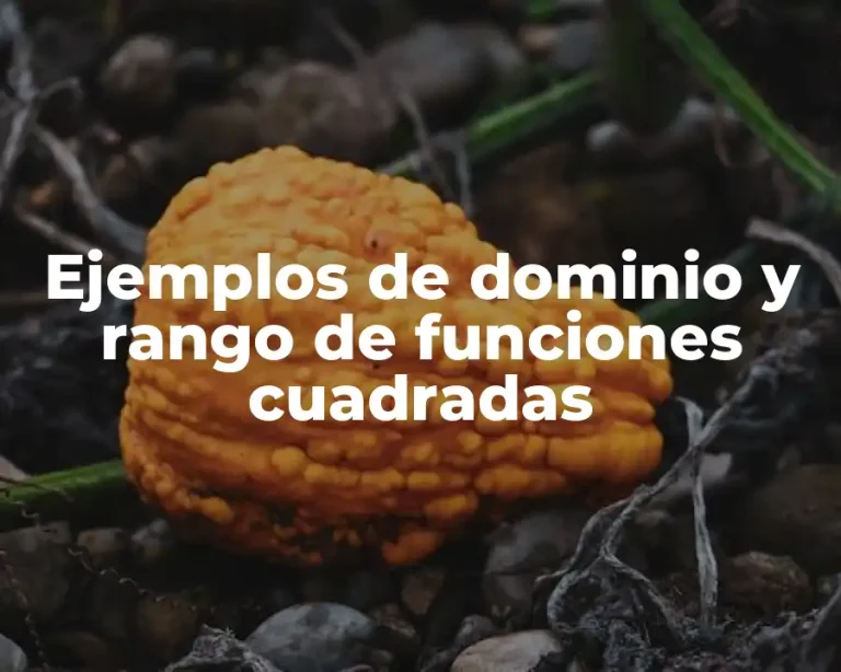 Ejemplos de dominio y rango de funciones cuadradas