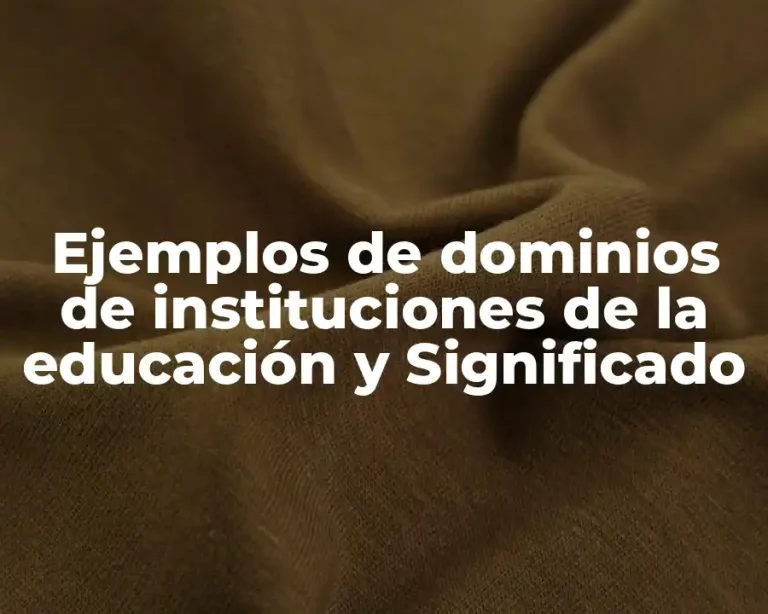Ejemplos de dominios de instituciones de la educación y Significado