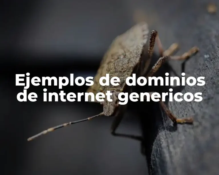 Ejemplos de dominios de internet genericos